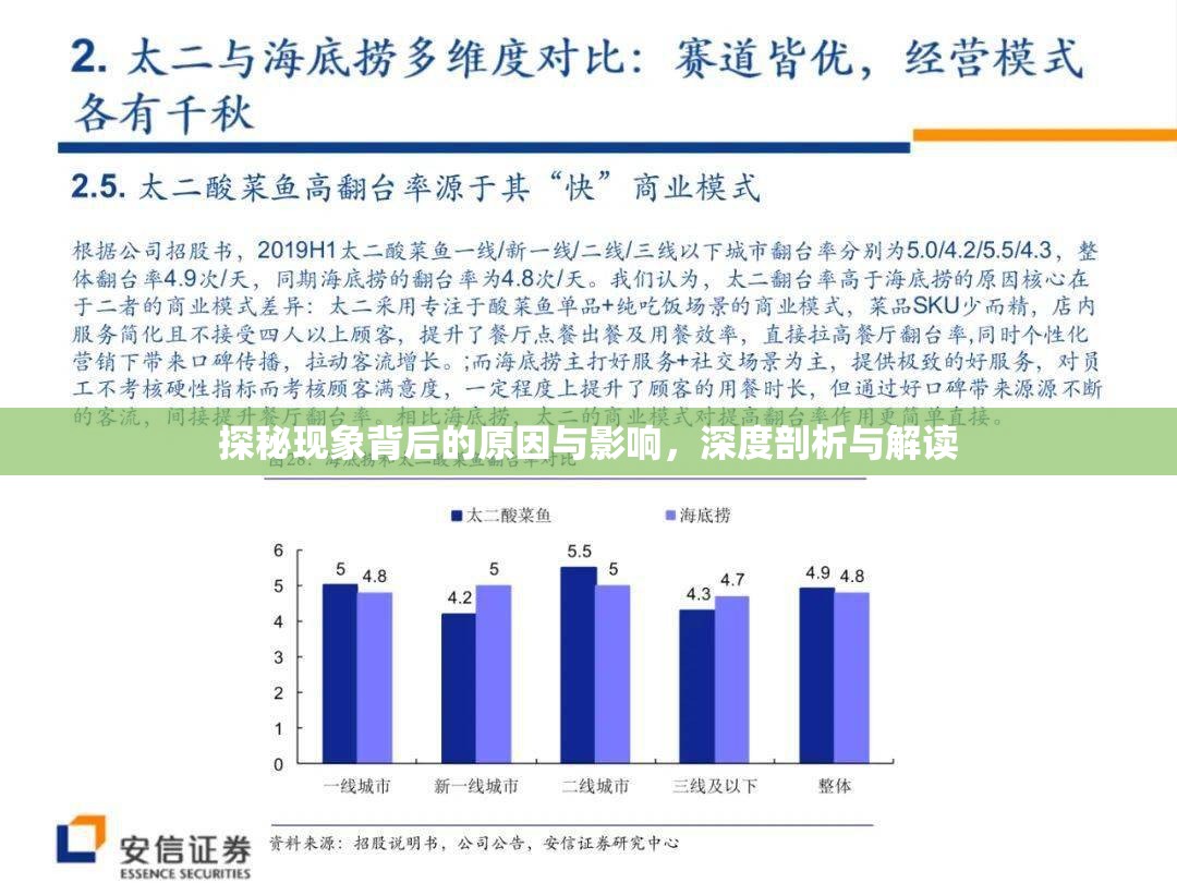 探秘現(xiàn)象背后的原因與影響，深度剖析與解讀