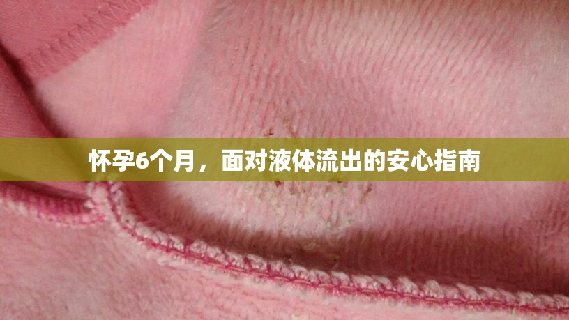 懷孕6個(gè)月，面對(duì)液體流出的安心指南
