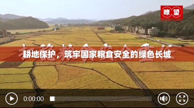 耕地保護，筑牢國家糧食安全的綠色長城