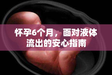 懷孕6個(gè)月，面對(duì)液體流出的安心指南