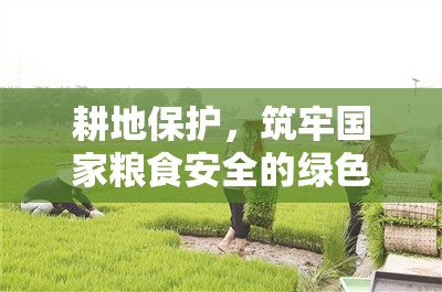 耕地保護，筑牢國家糧食安全的綠色長城