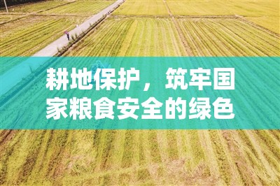 耕地保護，筑牢國家糧食安全的綠色長城