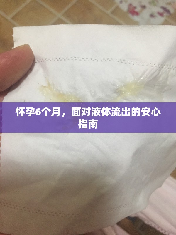 懷孕6個(gè)月，面對(duì)液體流出的安心指南