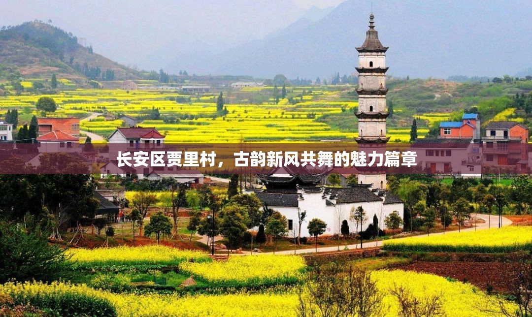 長安區(qū)賈里村，古韻新風(fēng)共舞的魅力篇章