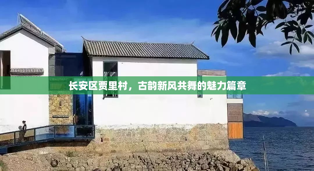 長安區(qū)賈里村，古韻新風(fēng)共舞的魅力篇章