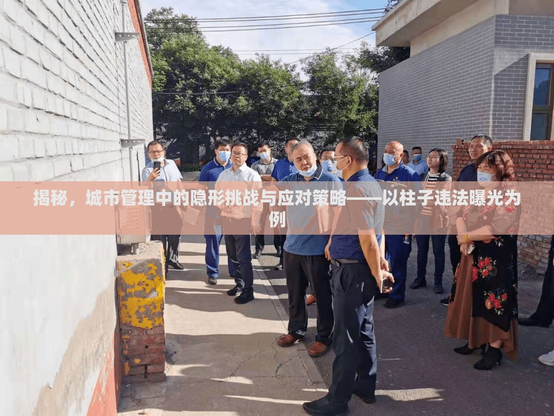 揭秘，城市管理中的隱形挑戰(zhàn)與應對策略——以柱子違法曝光為例
