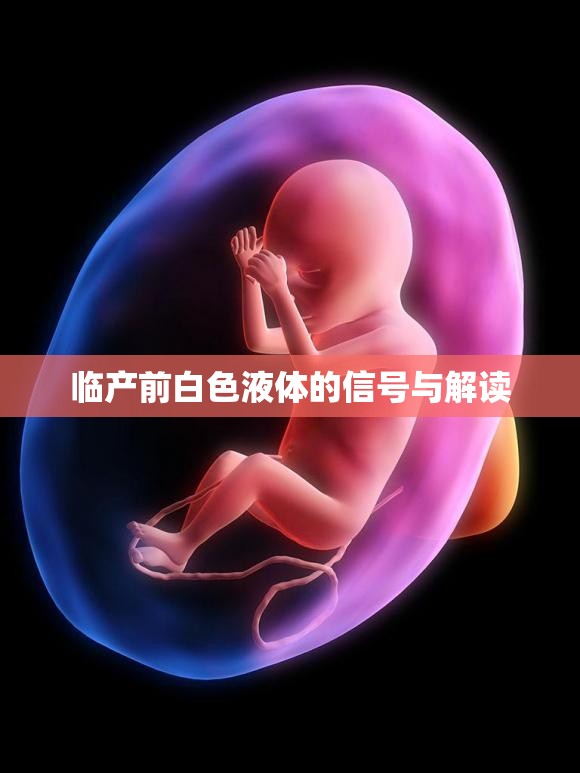 臨產(chǎn)前白色液體的信號(hào)與解讀