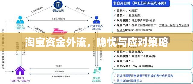 淘寶資金外流，隱憂與應(yīng)對(duì)策略