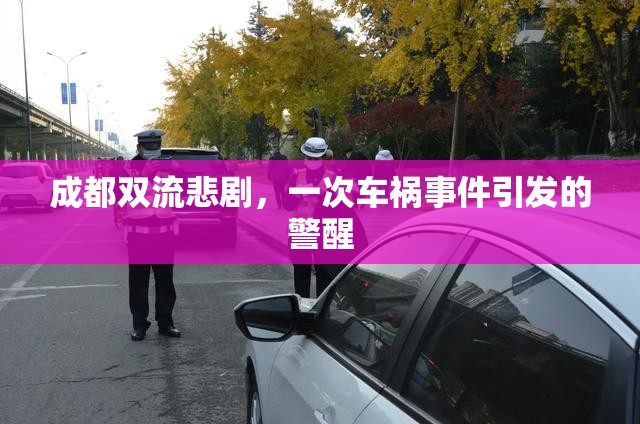 成都雙流悲劇，一次車禍?zhǔn)录l(fā)的警醒