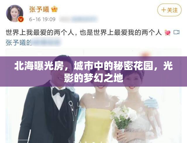 北海曝光房，城市中的秘密花園，光影的夢幻之地