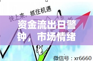 資金流出日警鐘，市場情緒、資產(chǎn)配置與風(fēng)險(xiǎn)防范的深度剖析
