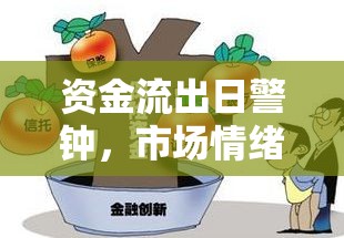 資金流出日警鐘，市場情緒、資產(chǎn)配置與風(fēng)險(xiǎn)防范的深度剖析