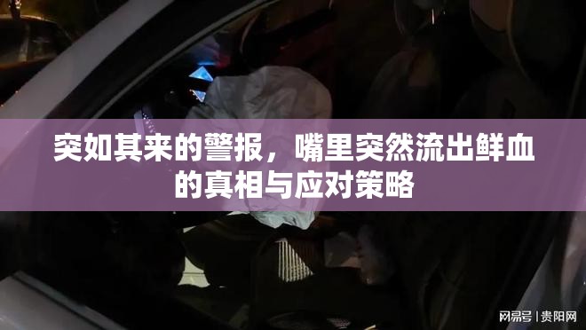突如其來的警報，嘴里突然流出鮮血的真相與應(yīng)對策略