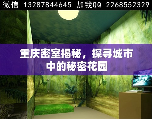 重慶密室揭秘，探尋城市中的秘密花園