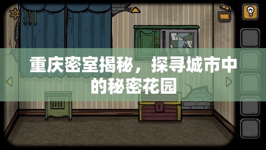 重慶密室揭秘，探尋城市中的秘密花園