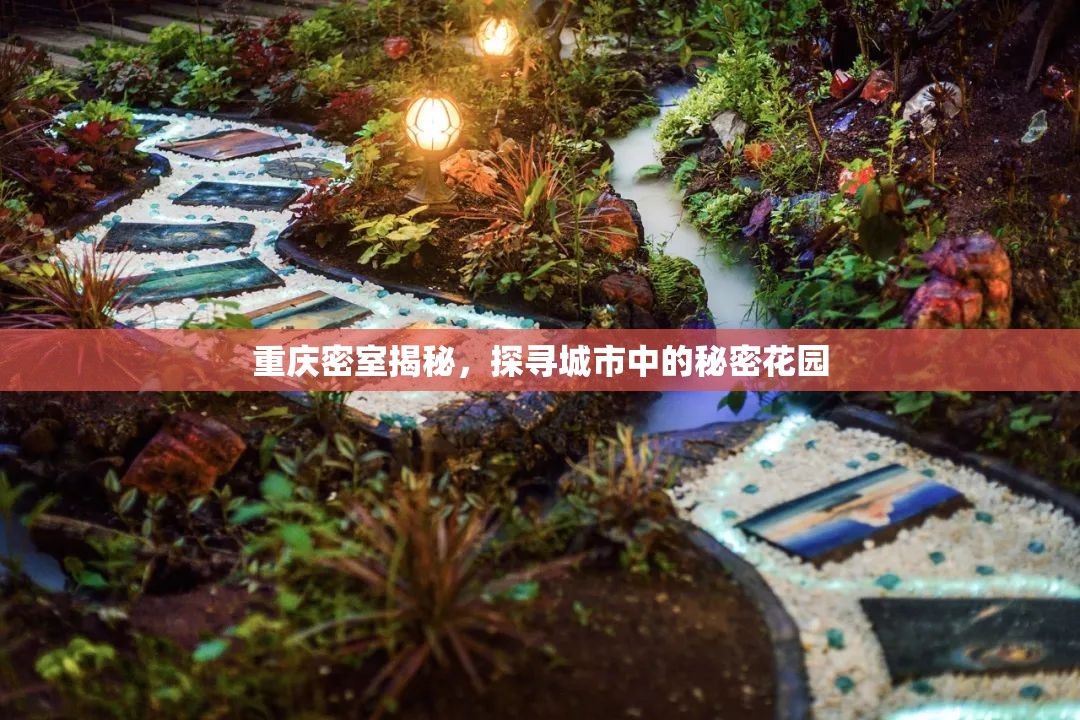 重慶密室揭秘，探尋城市中的秘密花園
