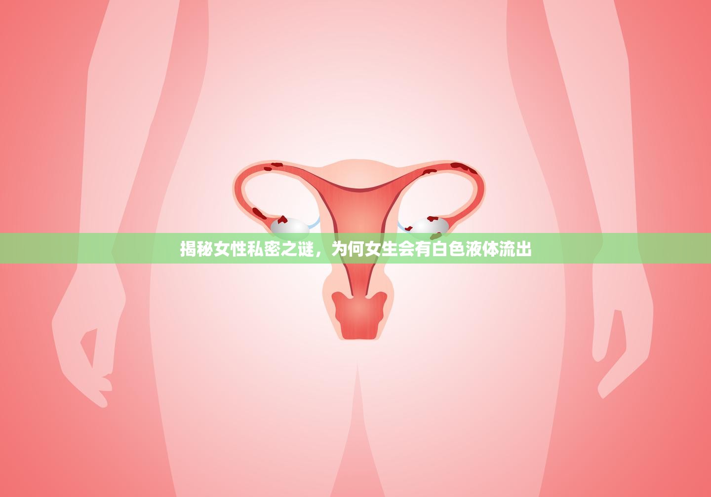 揭秘女性私密之謎，為何女生會(huì)有白色液體流出