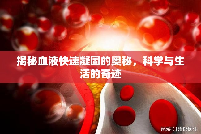 揭秘血液快速凝固的奧秘，科學(xué)與生活的奇跡