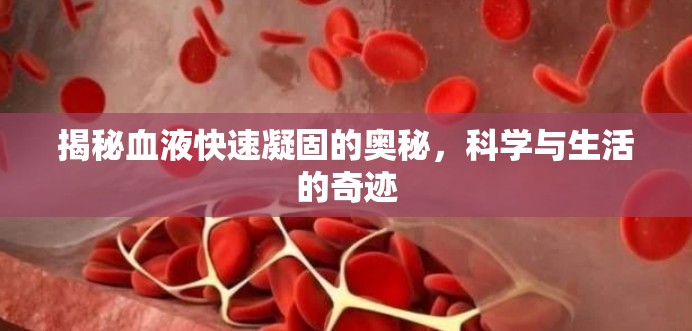 揭秘血液快速凝固的奧秘，科學(xué)與生活的奇跡