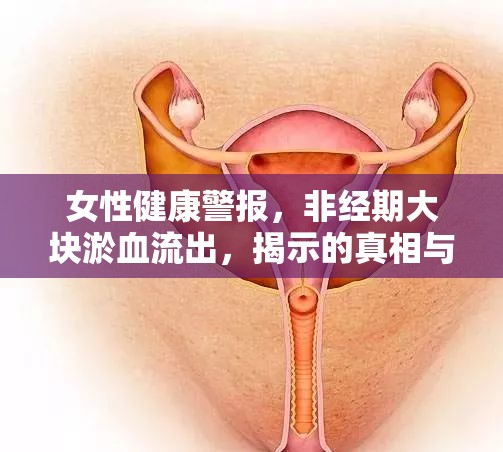 女性健康警報(bào)，非經(jīng)期大塊淤血流出，揭示的真相與應(yīng)對(duì)策略