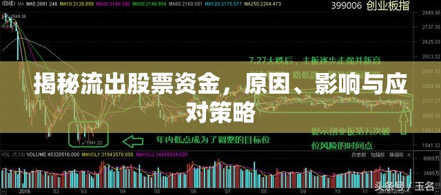 揭秘流出股票資金，原因、影響與應(yīng)對(duì)策略