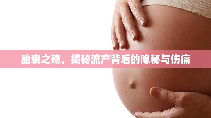 胎囊之殤，揭秘流產(chǎn)背后的隱秘與傷痛