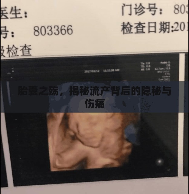 胎囊之殤，揭秘流產(chǎn)背后的隱秘與傷痛