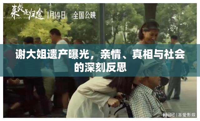 謝大姐遺產(chǎn)曝光，親情、真相與社會(huì)的深刻反思
