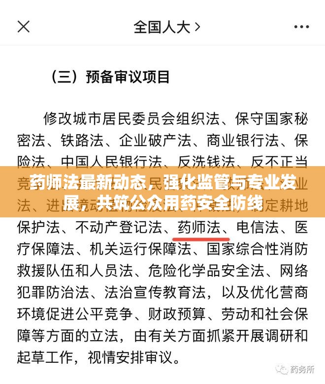 藥師法最新動態(tài)，強化監(jiān)管與專業(yè)發(fā)展，共筑公眾用藥安全防線