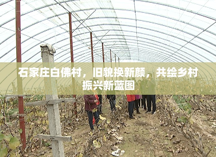 石家莊白佛村，舊貌換新顏，共繪鄉(xiāng)村振興新藍(lán)圖
