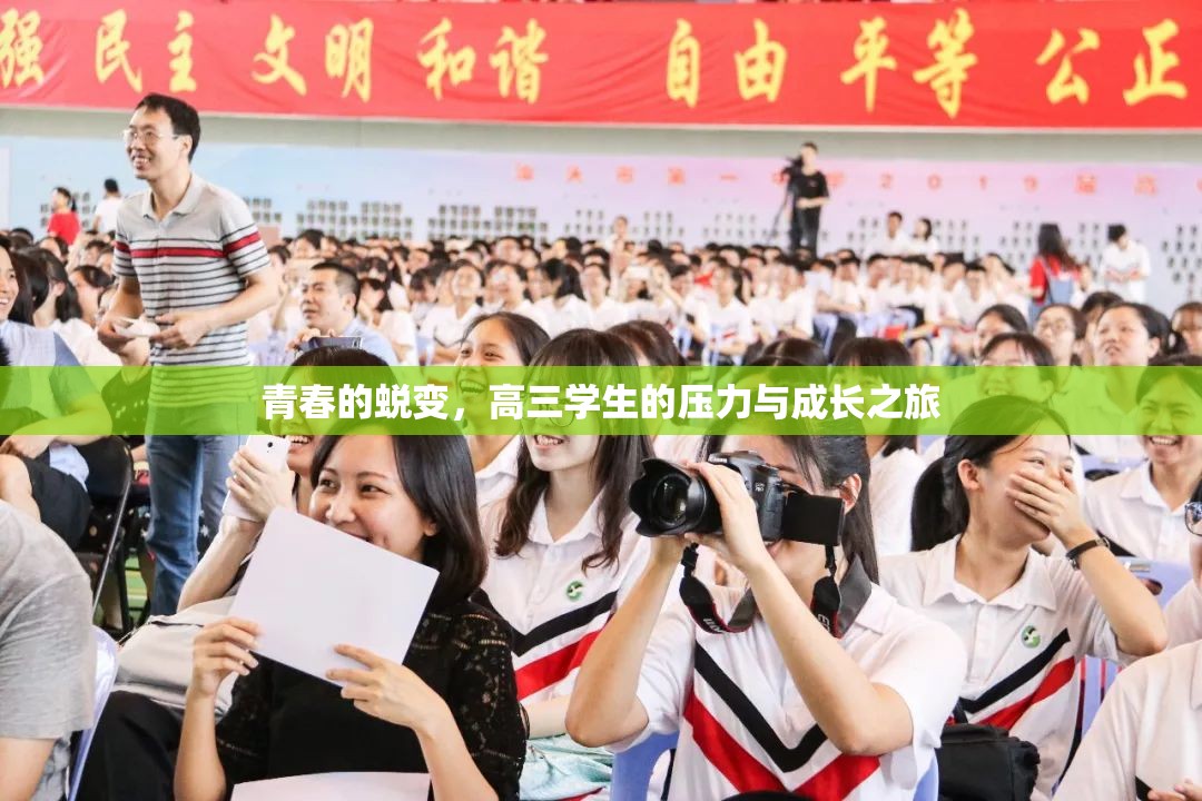青春的蛻變，高三學(xué)生的壓力與成長之旅