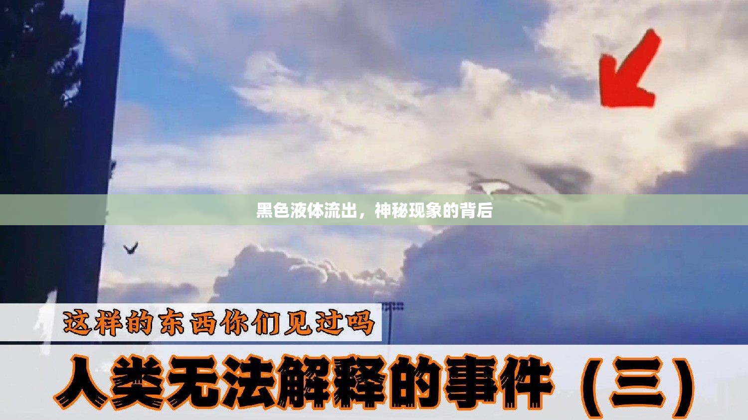 黑色液體流出，神秘現(xiàn)象的背后