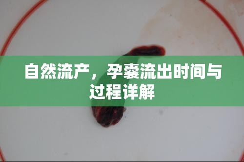 自然流產(chǎn)，孕囊流出時(shí)間與過(guò)程詳解