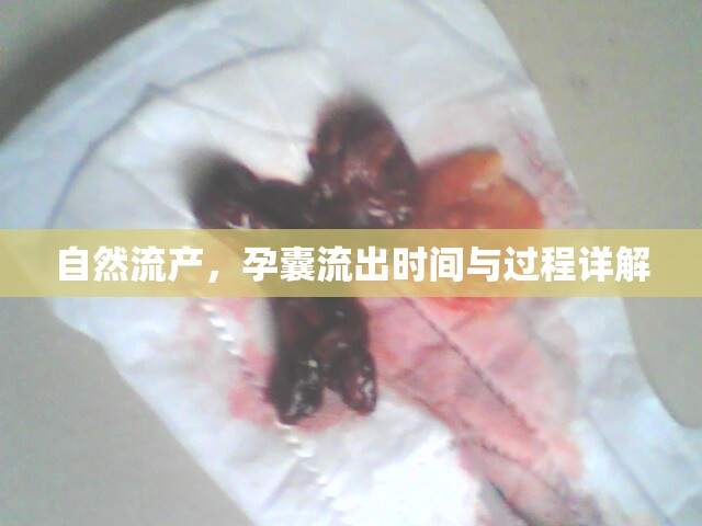 自然流產(chǎn)，孕囊流出時(shí)間與過(guò)程詳解