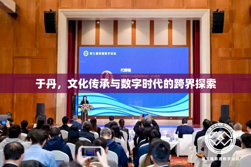 于丹，文化傳承與數(shù)字時代的跨界探索