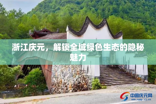 浙江慶元，解鎖全域綠色生態(tài)的隱秘魅力