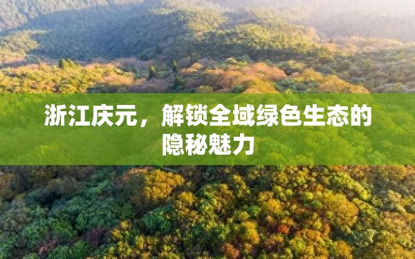 浙江慶元，解鎖全域綠色生態(tài)的隱秘魅力