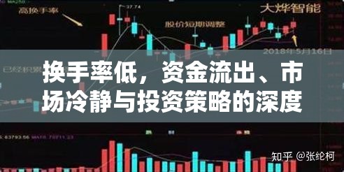 換手率低，資金流出、市場冷靜與投資策略的深度剖析