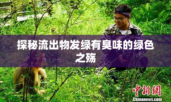探秘流出物發(fā)綠有臭味的綠色之殤