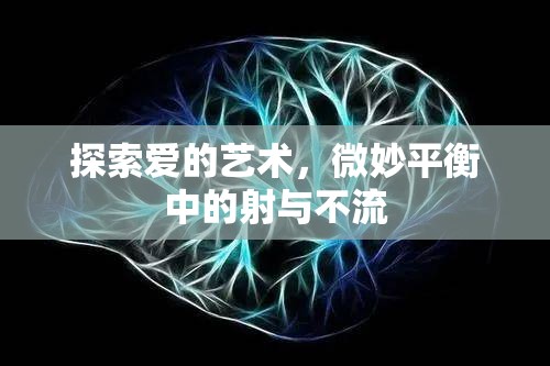探索愛的藝術(shù)，微妙平衡中的射與不流