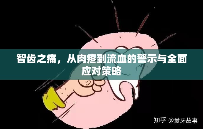 智齒之痛，從肉疼到流血的警示與全面應(yīng)對(duì)策略