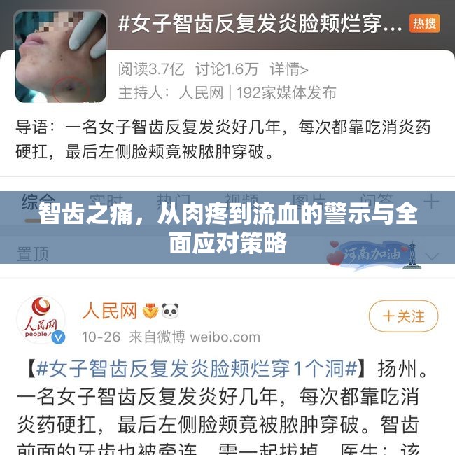 智齒之痛，從肉疼到流血的警示與全面應(yīng)對(duì)策略