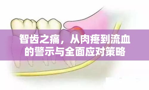 智齒之痛，從肉疼到流血的警示與全面應(yīng)對(duì)策略