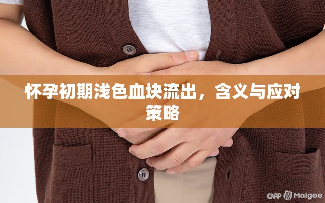 懷孕初期淺色血塊流出，含義與應(yīng)對策略
