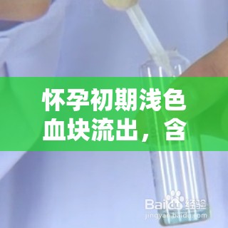 懷孕初期淺色血塊流出，含義與應(yīng)對策略
