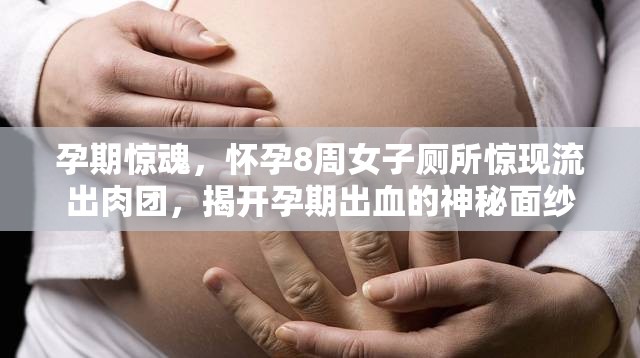 孕期驚魂，懷孕8周女子廁所驚現(xiàn)流出肉團(tuán)，揭開孕期出血的神秘面紗