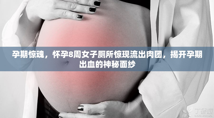 孕期驚魂，懷孕8周女子廁所驚現(xiàn)流出肉團(tuán)，揭開孕期出血的神秘面紗