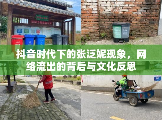 抖音時(shí)代下的張泛妮現(xiàn)象，網(wǎng)絡(luò)流出的背后與文化反思