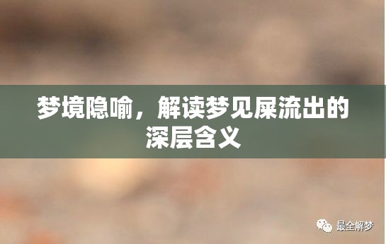 夢(mèng)境隱喻，解讀夢(mèng)見(jiàn)屎流出的深層含義