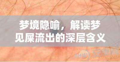 夢(mèng)境隱喻，解讀夢(mèng)見(jiàn)屎流出的深層含義